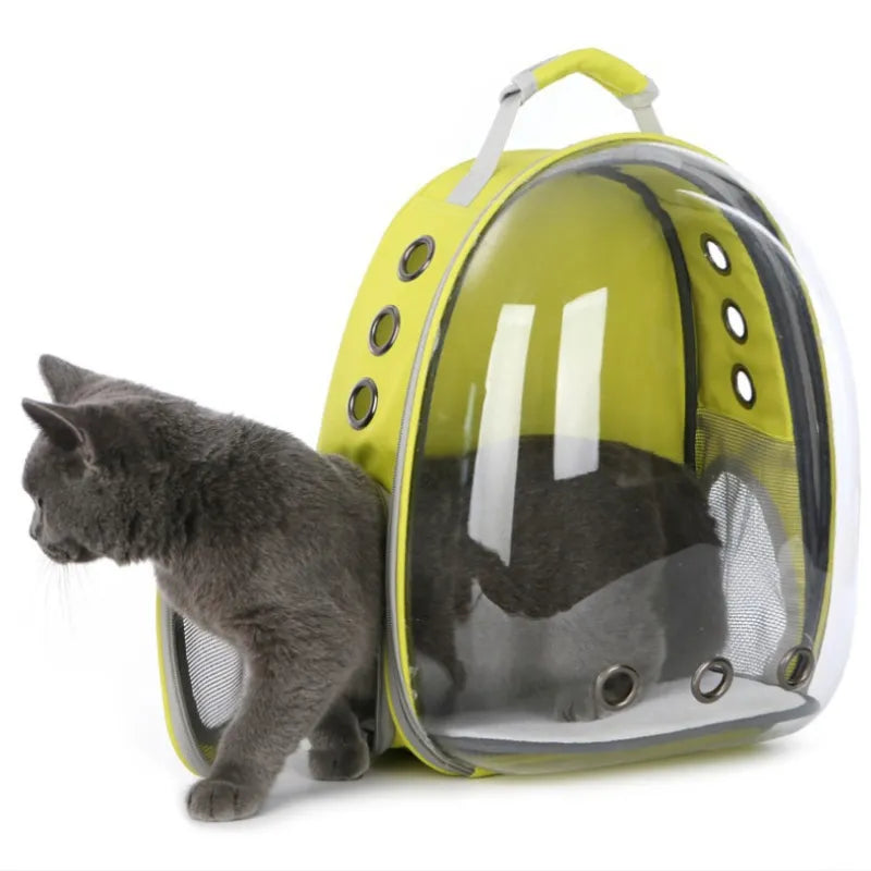 Mochila Bolha Transparente Para Gatos